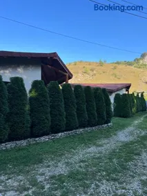 Studiouri Valisoara - Image 1