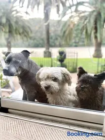 Glasshouse On The Water PET FRIENDLY - Image 3