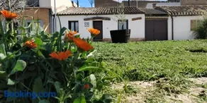 La mimosa - Image 1