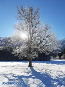 Alpenlodge Kirchbach - Image 2