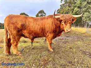 Clearview Farmstay - Image 2
