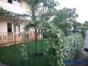 Apartment Mirjana - Image 4
