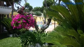 Alba Chiara - Image 5