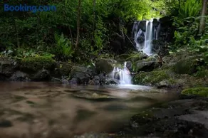 Old mill - Image 2