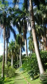Condominio Girardot Resort - Image 4