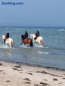 Oberdeck Ostsee - Image 2