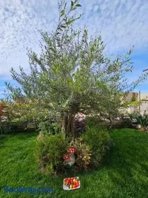 Villa Olive Green Coast - Image 4