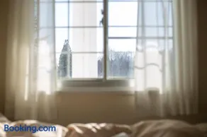 Summer Leaves - Image 2