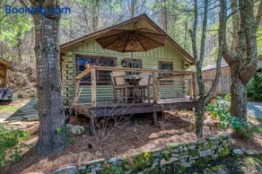 Cozy Lakefront Cabin on Lake Nantahala with Dock - Image 2