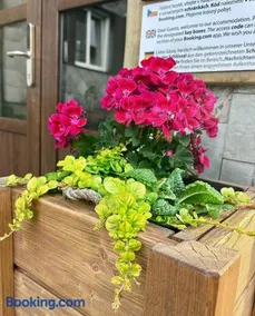 Ubytování Přimda - Image 3