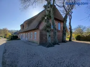 Das Reetdachhaus der Familie Sommer - Image 3