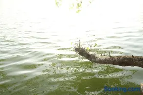 River Loom - Image 4