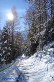 Ferienhütte Premstlahof - Image 5