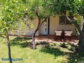 Little Citrus Yard - Image 1