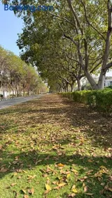 Serenity- A place to relax and rejuvenate - Image 1