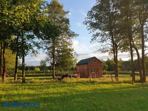 JEZIORAKI Uroczy domek i sauna 400m od jeziora Nowa Jedlanka - Image 1