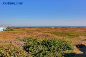Blue Crab BH107 - Image 5