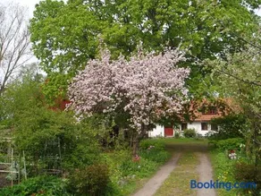 Mariehem Logi - Image 5