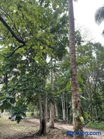 Helt Vanua Lodge - Image 4