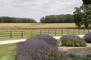 Pods & tonneaux du Haras d'Oakland - Image 3