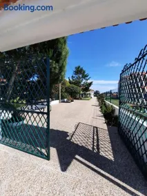 Casa das Camélias - Image 2