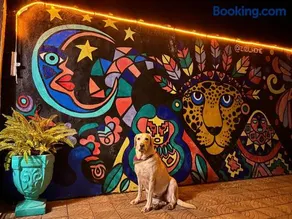 Zizi Home Vibes - Image 2