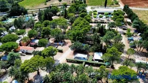 ZEcamping 3 étoiles animé avec club enfant toboggans restaurant et piscine - Image 1
