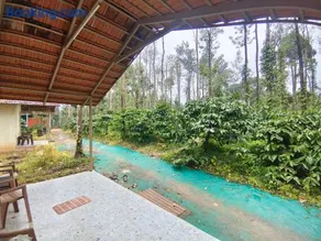 Bean & Leaf Plantation Cottage - Image 4