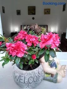 Mama Brasov - Image 1