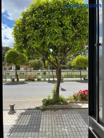 Casa Ribera Centro - Image 3