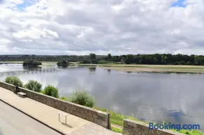 Les sternes de st Mathurin sur Loire , terrasse sur la Loire - Image 1