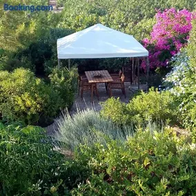 Aegina's Oasis - Image 1