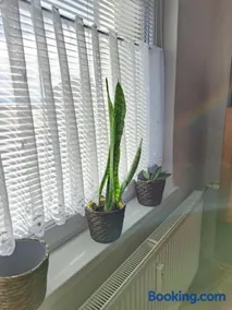 Apartmán blízko centra - Image 1