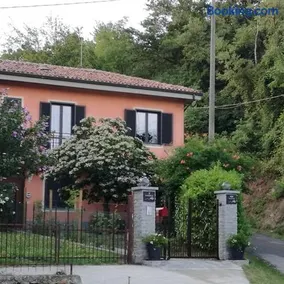 Le rose di Mapi - Image 1