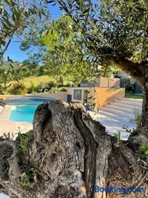 Le petit Chacel - Image 2