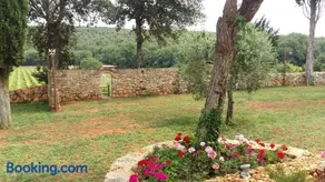 La Tenuta di Castelvecchio - Image 2