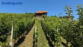 Dedina Klet - Vineyard Cottage with Mountain View - Image 3