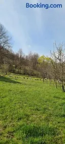 Cabana Bradului - Image 2