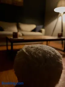 Nid des lumières - Image 3