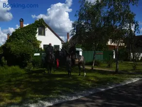 Hajdu Lovasudvar Hortobágy - Image 1