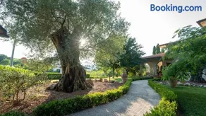 B&B Ulivo del Duca - Image 2