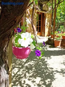 Gîte Sainte Croix en Jarez, Le Val des Equins - Image 2