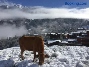 Le MAZOT chalet Lucie - Image 2