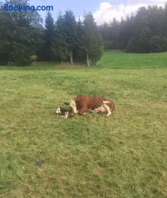 Ferienwohnungen Hasenhof - Image 2