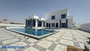 Al REEF - Image 2
