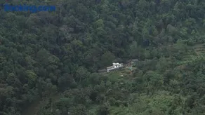 Explore Sinharaja Rain Forest Tour Camp - Image 1