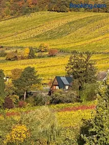 Vacationhome in the vineyards - Image 3