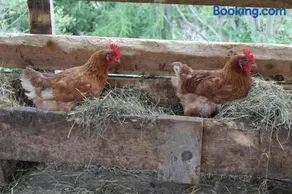 Haus Lärchenhof - Image 4