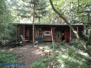 Ponderosa-Hütte im Wald - Image 2