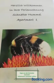 Schnetter Hummel, Apartment 1 - Image 1